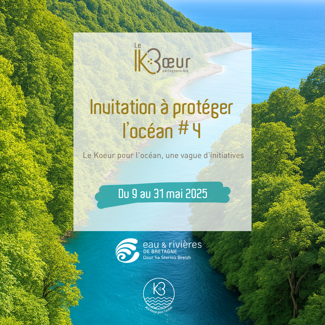 Publi réseaux JANVIER-JUIN 2025 (38)